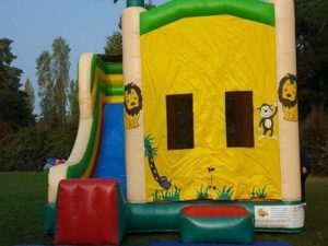 Giungla Slide